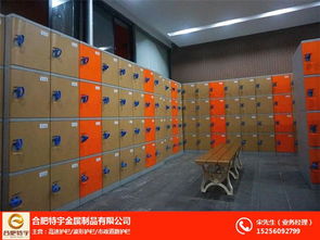 abs浴室更衣柜 六安abs浴室更衣柜 廠家直銷(xiāo) 多圖