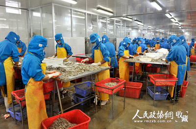 還君明珠終有時 北海市水產(chǎn)品冷凍加工的機(jī)遇與挑戰(zhàn)