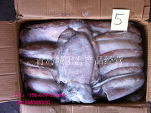 冷凍粗加工黑魚 阿里巴巴平臺上的水產(chǎn)品批發(fā)與供應(yīng)指南